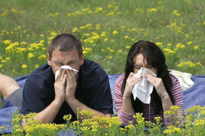 Чем лечить аллергию?