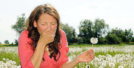 Причины проявления аллергии на пыльцу