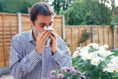 Причины развития аллергии