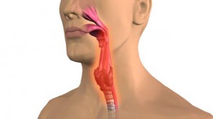 Причины развития грибка в горле